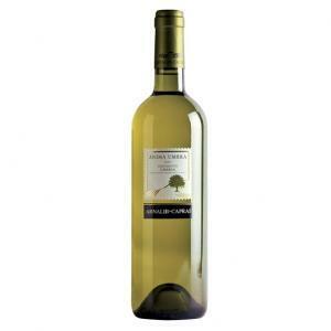 Anima umbra 2019 grechetto igt 75 cl