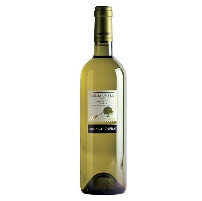 arnaldo caprai arnaldo caprai anima umbra 2019 grechetto igt 75 cl - foto 1