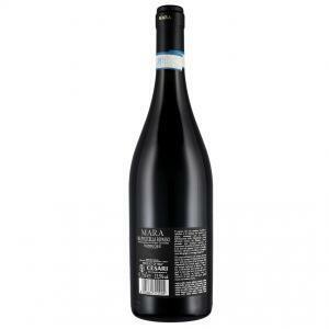 Mara valpolicella ripasso superiore 2019 doc 75 cl