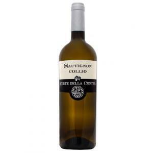 Sauvignon collio 2019 doc 75 cl