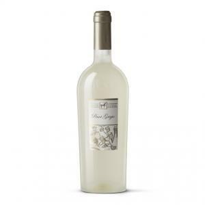 Pinot grigio terre di chieti igp 75 cl