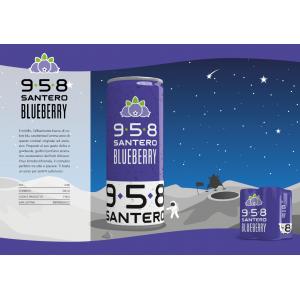 Blueberry gusto mirtillo in lattina 250 ml