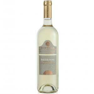 Sauvignon trevenezie 2021 igt 75 cl