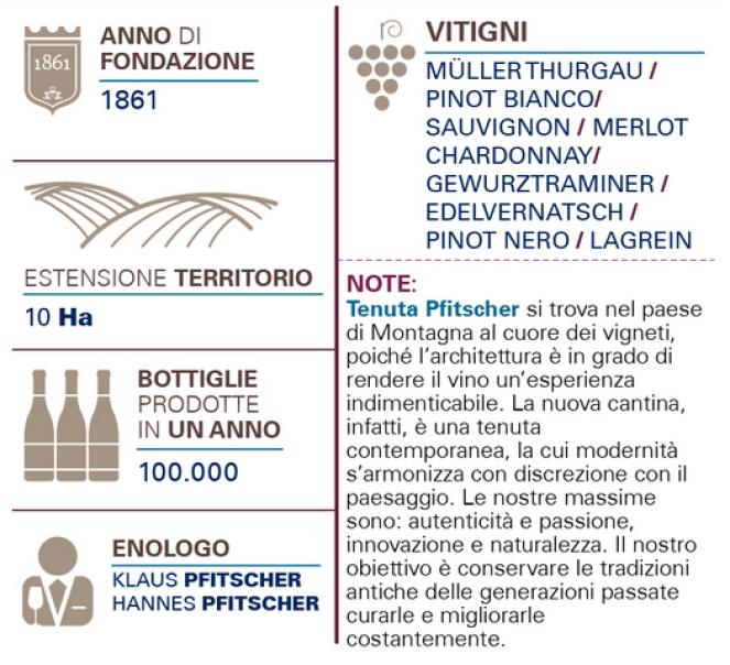 pfitscher pfitscher lagrein rivus 2022 sudtirol alto adige doc 75 cl - foto 2