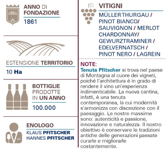 pfitscher pfitscher gewurztraminer 2022 sudtirol alto adige doc stoass 75 cl 6 bottiglie - foto 2