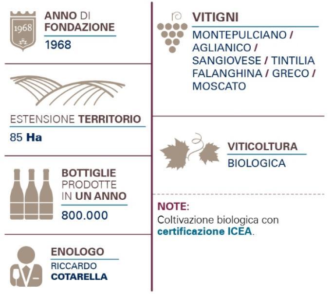 di majo norante di majo norante contado aglianico del molise riserva 2017 doc 75 cl - foto 2