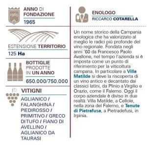 Falerno del massico bianco 2021 dop collecastrese 75 cl