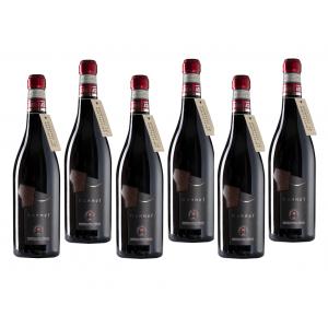 Mammut 2020 montepulciano d'abruzzo doc 75 cl - 6 bottiglie