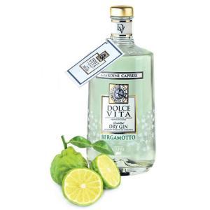 Dolce vita dry gin bergamotto giardini capresi 70 cl