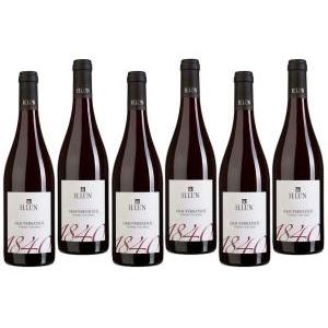 Schiava grigia grauvernatsch sudtirol alto adige doc 75 cl 6 bottiglie