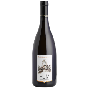 Hum moscato di terracina doc vigna campo soriano 75 cl