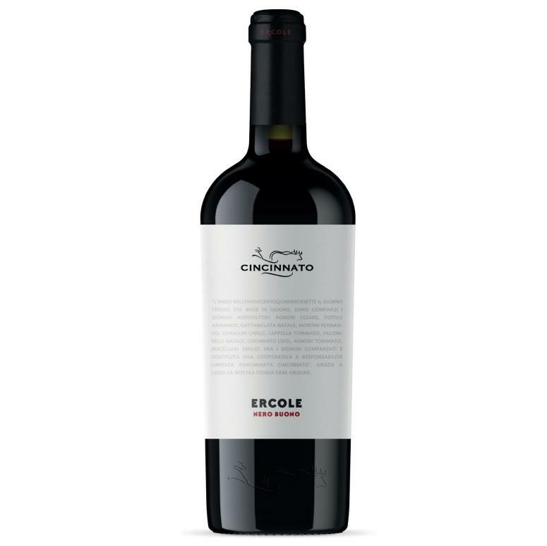 cincinnato cincinnato ercole nero buono 2020 igt 75 cl