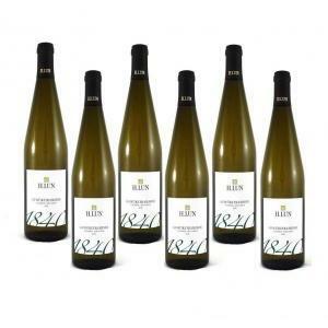 Gewurztraminer 2023 sudtirol alto adige doc 75 cl  6 bottiglie