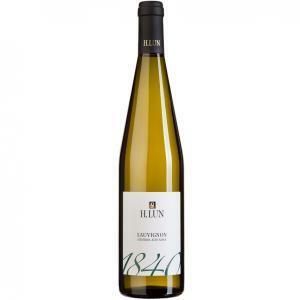 Sauvignon 2023 sudtirol alto adige doc 75 cl