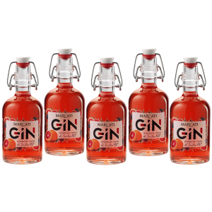 Gin arancia rossa di sicilia mignon miniature 10 cl 5 bottigliette